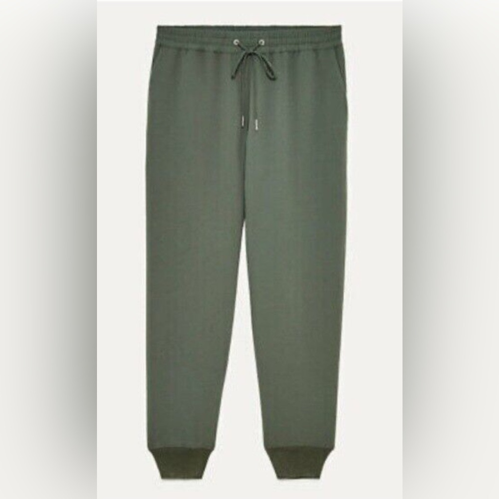 Aritzia Wilfred Jogger style work pants, size M, olive green